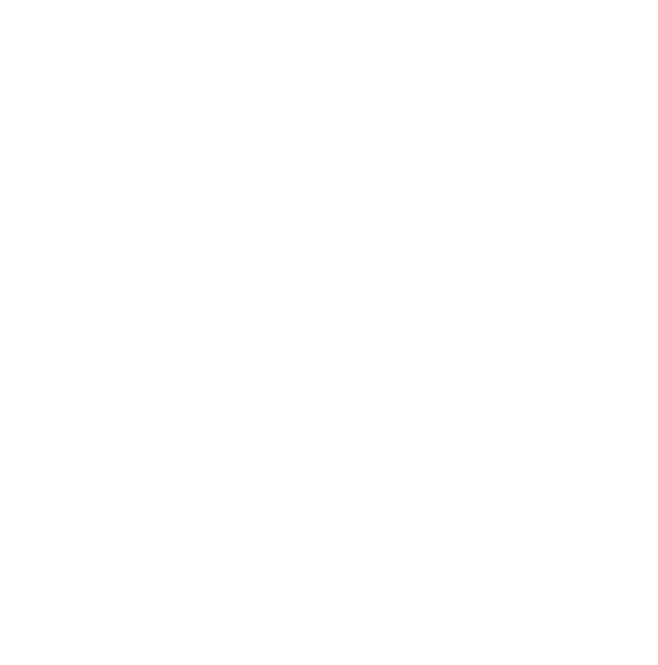 Crazy Synchro Team